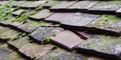 Leek roof repair costs